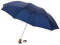 Parapluie Classique pliant 2 sections 6