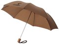 Parapluie Classique pliant 2 sections 13