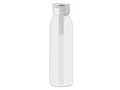 Bouteille en acier inox 650ml 22