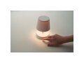 Lampe de table rechargeable 19