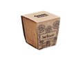 Kit de tournesol 4