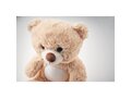 Grand ours en peluche - 25 cm 4