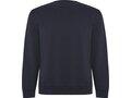 Pull ras du cou Batian unisexe 24