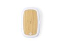 Boîte Stérilisateur UV Chargeur Strey