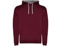 Sweat à capuche Urban pour homme 9