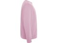 Pull ras du cou Batian unisexe 20