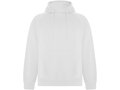Sweat à capuche Vinson unisexe 2