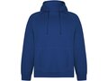 Sweat à capuche Vinson unisexe 5