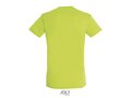T-shirt unisexe +40 couleurs 96