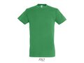 T-shirt unisexe +40 couleurs 115