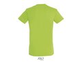 T-shirt unisexe +40 couleurs 163