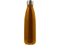 Bouteille simple paroi en acier inoxydable 650 ml 5