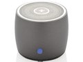 Enceinte compacte Swiss Peak