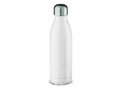 Bouteille Isotherme Swing 750 ml 3