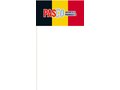 Drapeaux en papier Promo 20