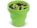 Petit jardin de Basilic avec pot pliable