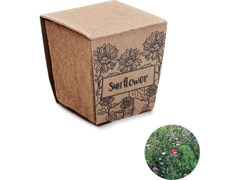 Kit de tournesol