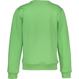 141015_645_crewneck_kid_B_green