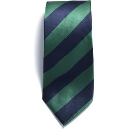 2910200_607_TIE_navy_green