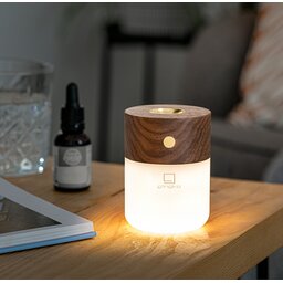 G017WT Gingko Smart Diffuser Lamp04