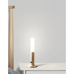 ginkgo-smart-baton-light-white-ash 2