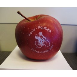 Logo appelen Paris Roubaix