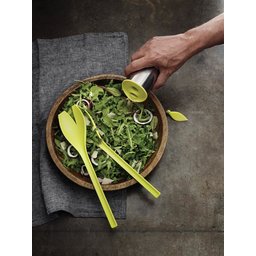 tulp-salade-set-1e83.jpg