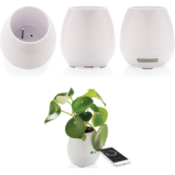 Plant speaker