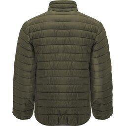 r50945m_b1