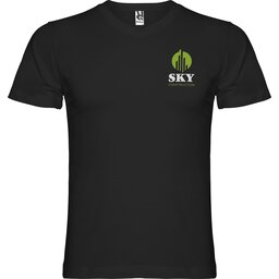 R65033O_F1_SP_Y1