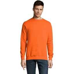 s13250-or