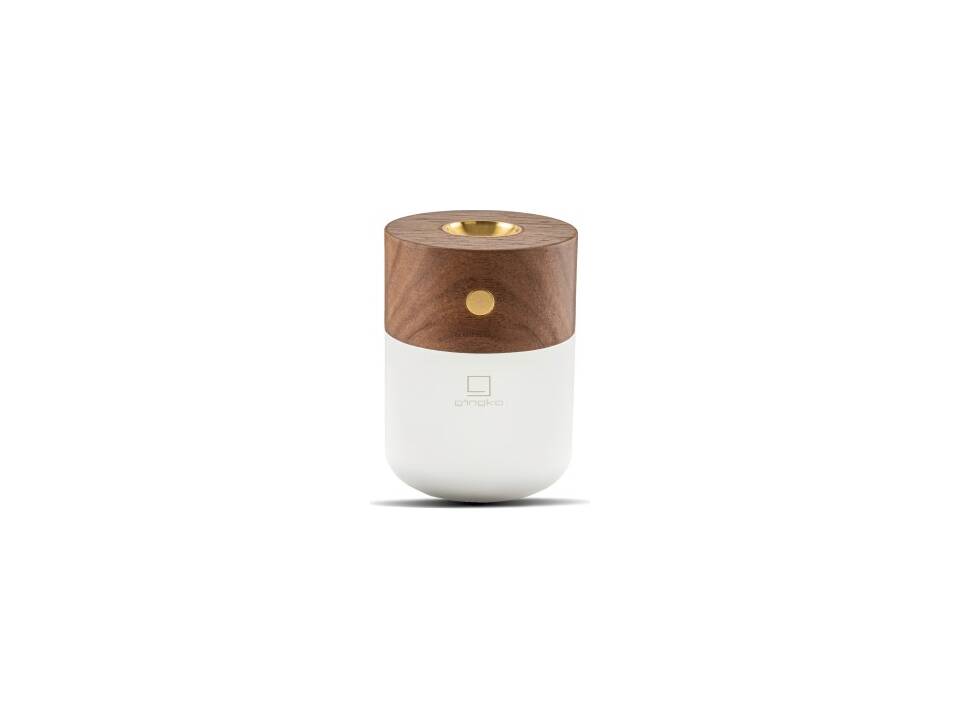 Gingko luxe Smart diffuser lamp 11