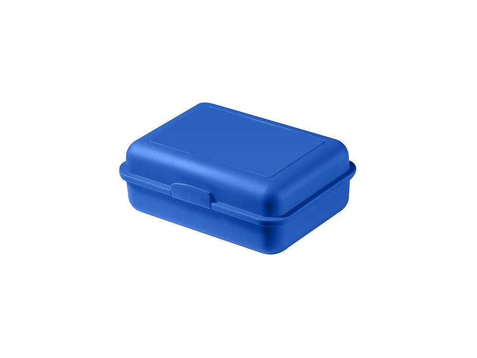 Schoolbox brooddoos 17,5 x 12,8 x 6,5 cm 19