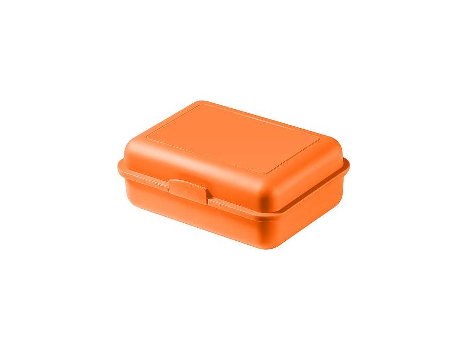 Schoolbox brooddoos 17,5 x 12,8 x 6,5 cm 20