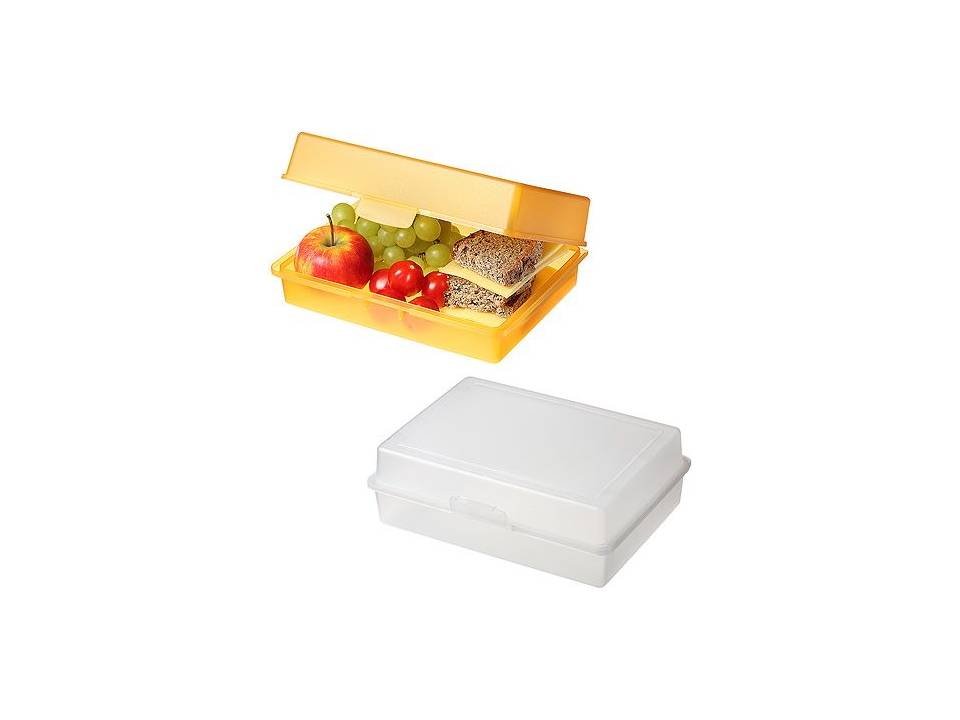 Picknickbox brooddoos 21,5 x 15,8 x 7,1 cm 4