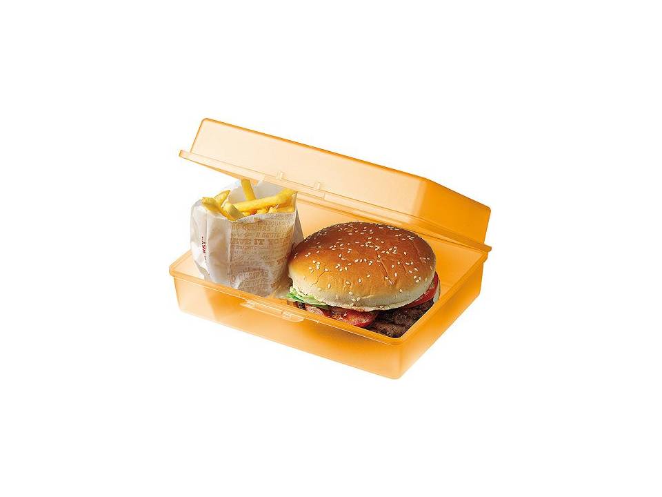 Picknickbox brooddoos 21,5 x 15,8 x 7,1 cm 2