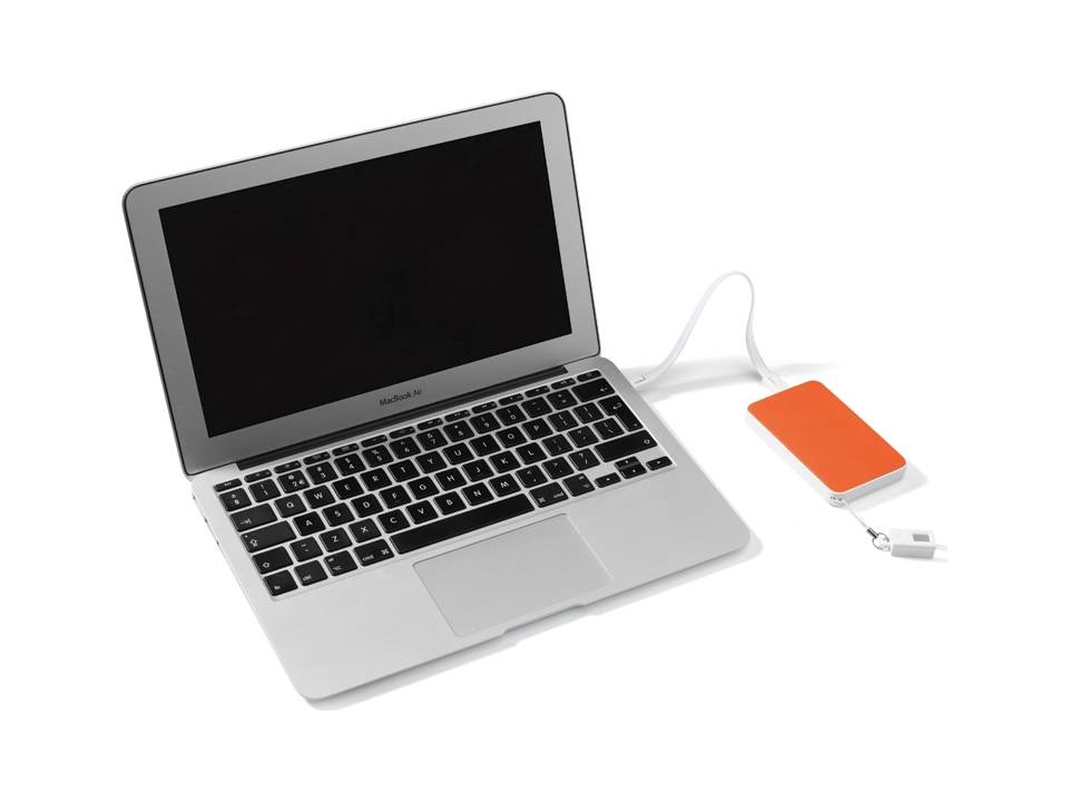 Powerbank met usb stick - 3000 mAh 9