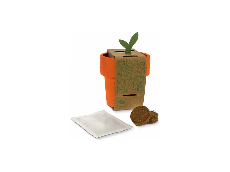 Hot-but-cool beker met kerstomaten zaadjes 4