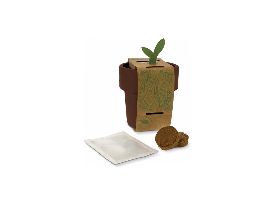 Hot-but-cool beker met kerstomaten zaadjes 6