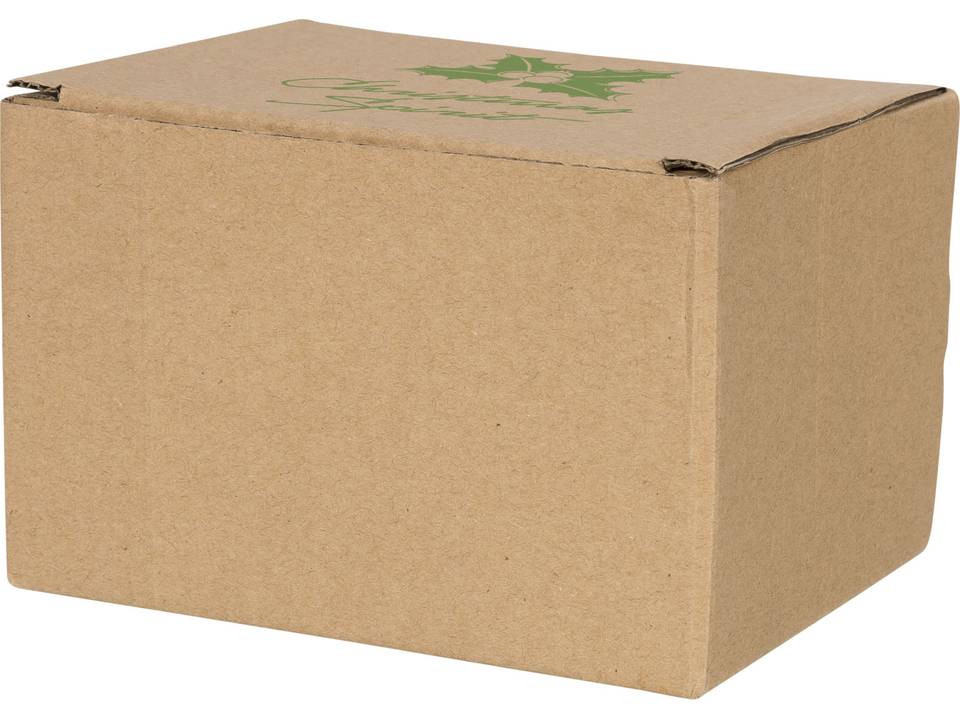 Schilder een ornament 2