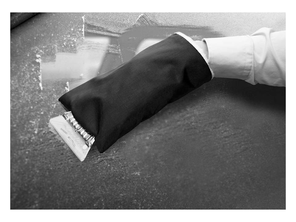 IJskrabber met beschermwant 2