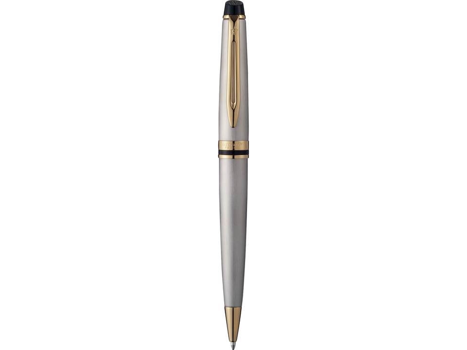 Waterman Expert 17