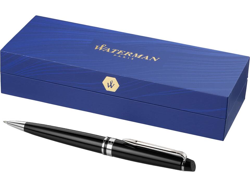 Waterman Expert 19