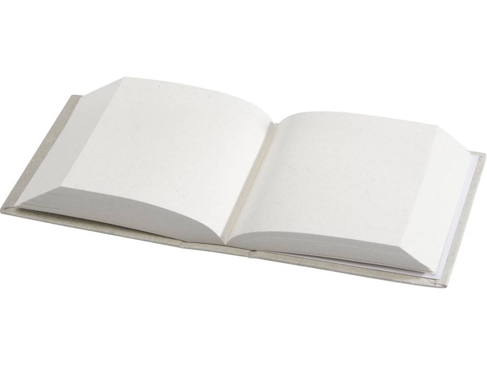 Dairy Dream memoblok 4