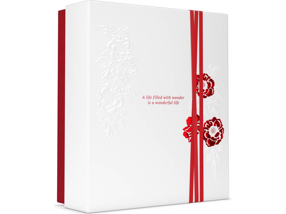 The Ritual of Ayurveda Balancing Routine 2