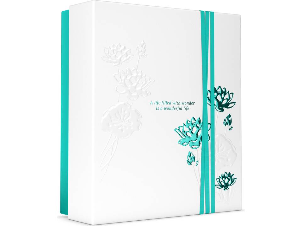 The Ritual of Karma Soothing Routine 1