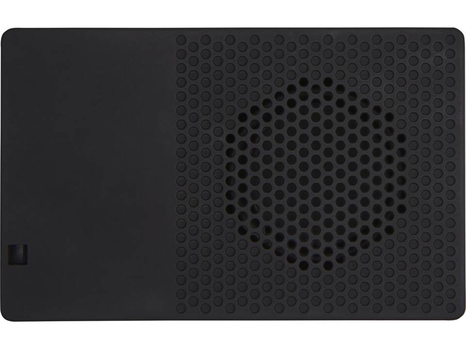 Fusion speaker 6