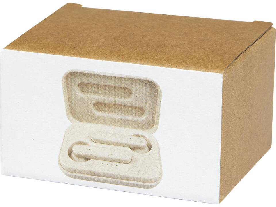 Nantai oordopjes True Wireless van tarwestro 2