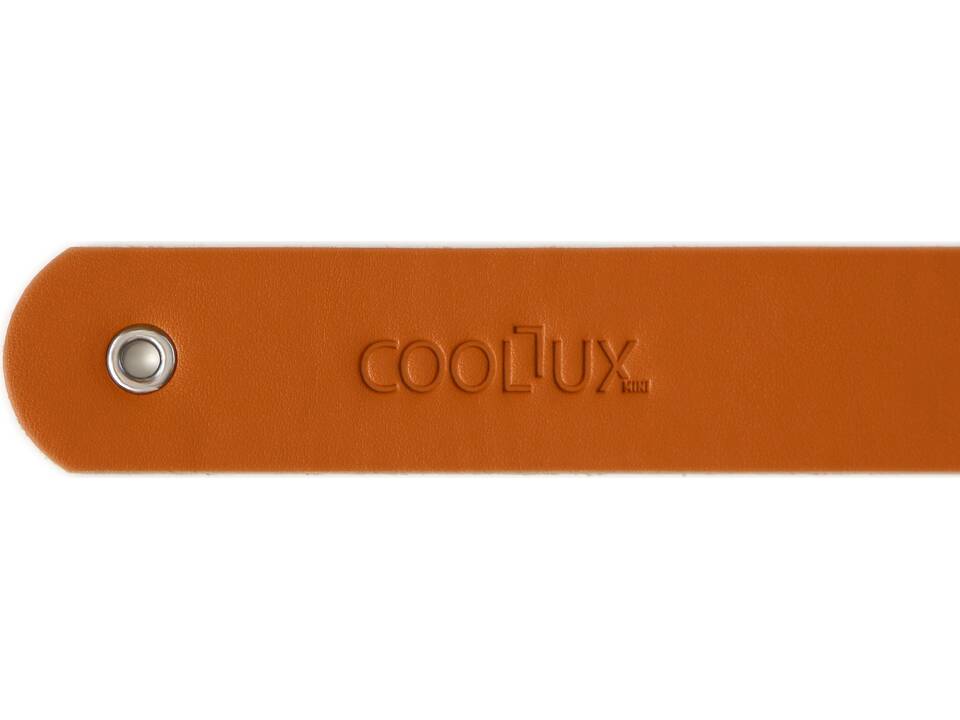 Coollux mini 2