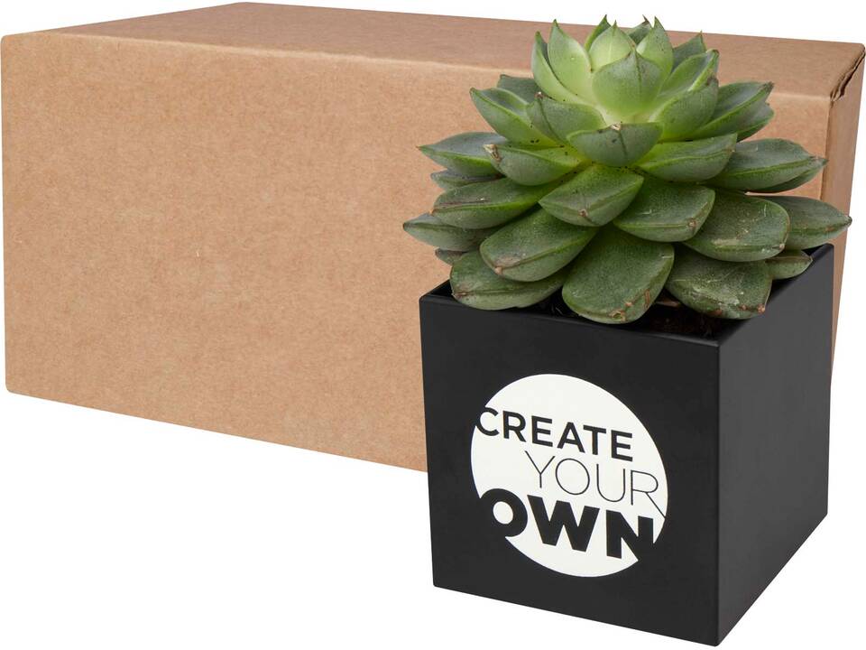 Hey Pots aluminium bloempot, cactus 3